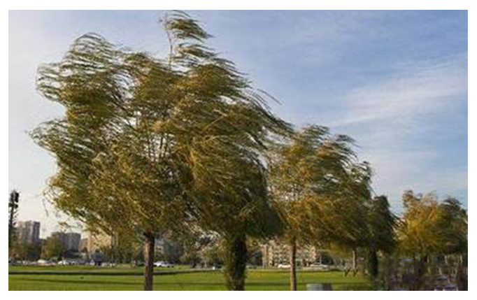 Wind resistance level 8-10